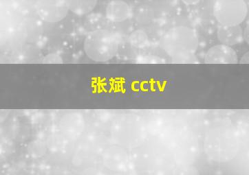 张斌 cctv